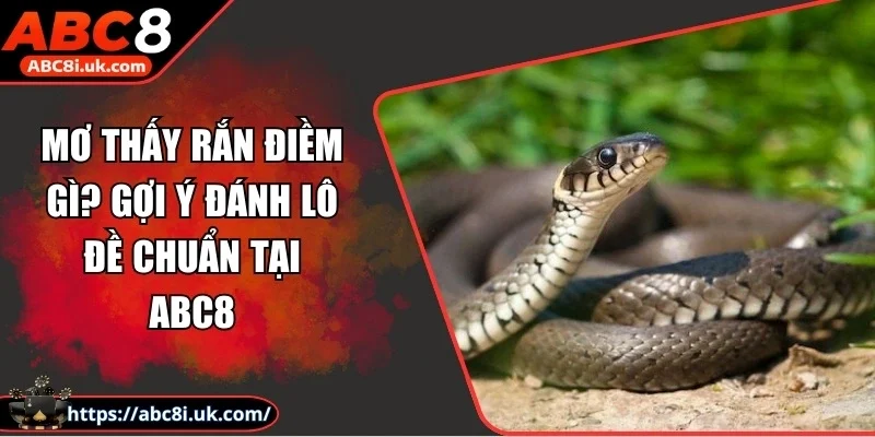 Mơ Thấy Rắn